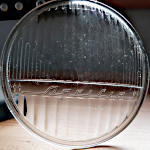 Headlamp lens