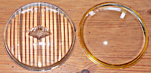 Headlamp lens